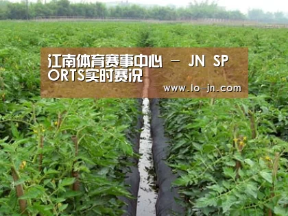 种植基地三